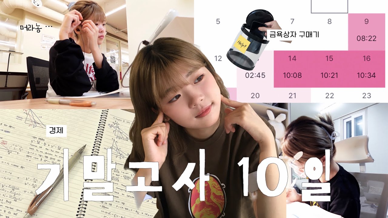 벼락도 락이다.. 공부에 중간이 없는 치타 연대생의 기말고사vlog🐆