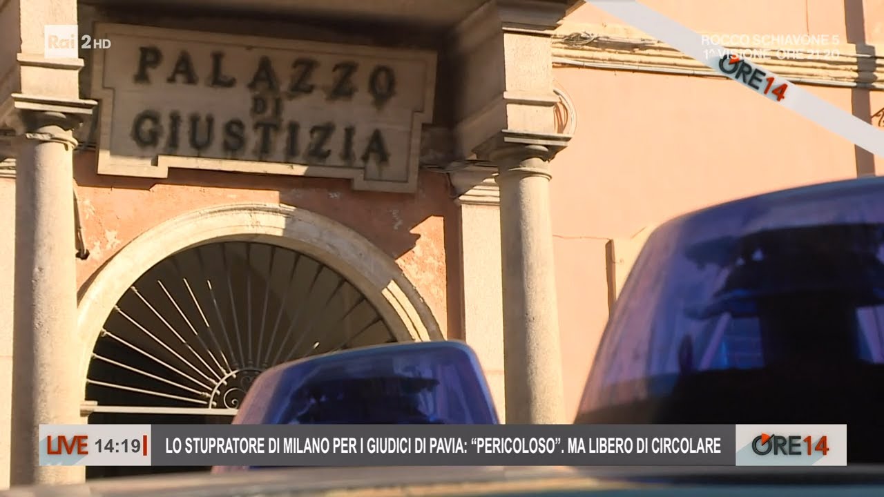 Lo stupratore di Milano per i giudici di Pavia: 