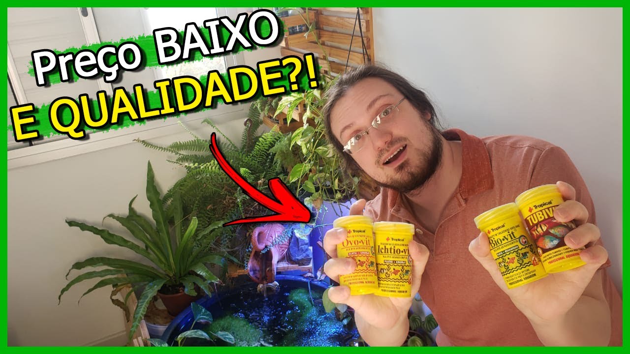 Dei ração Custo Benefício pros meus Peixe, deu RUIM?!