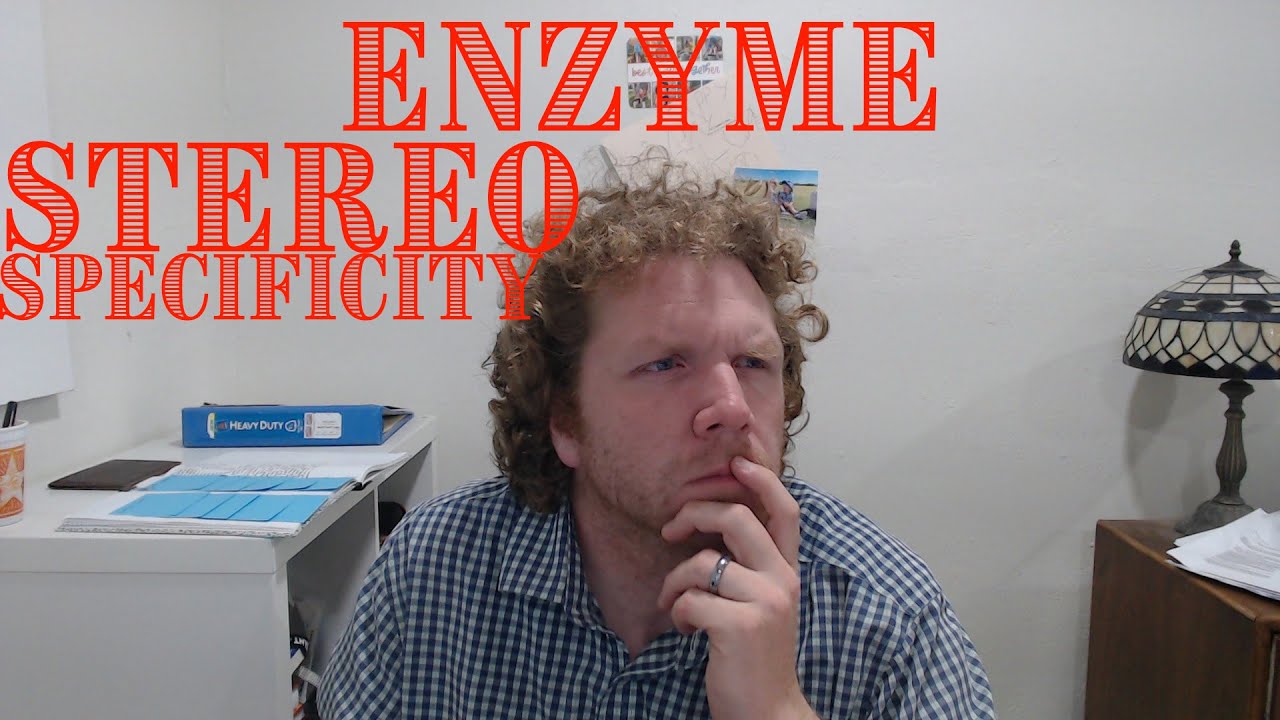 Enzyme Stereospecificity