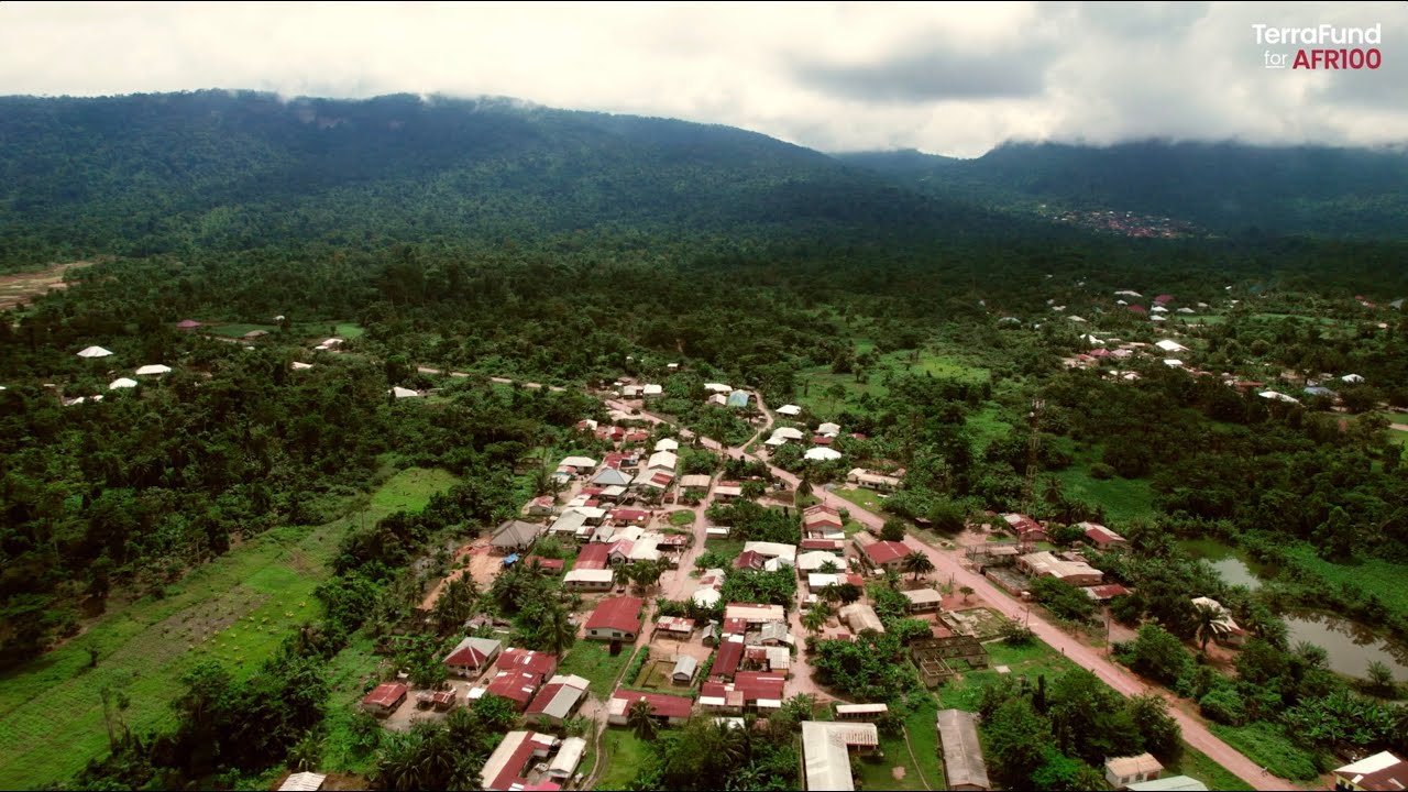 Fanteakwa  Cocoa Co-Operative Union - Land Restoration Initiative | AFR100