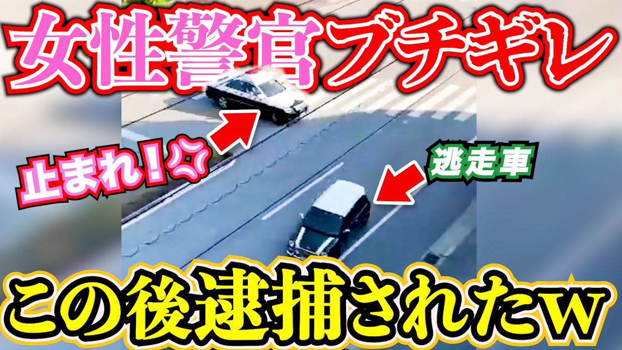 【ドラレコ】女性警官ブチギレ逃走車逮捕されたw危険プリウス29選交通安全危険予知最新日本ドラレコ映像