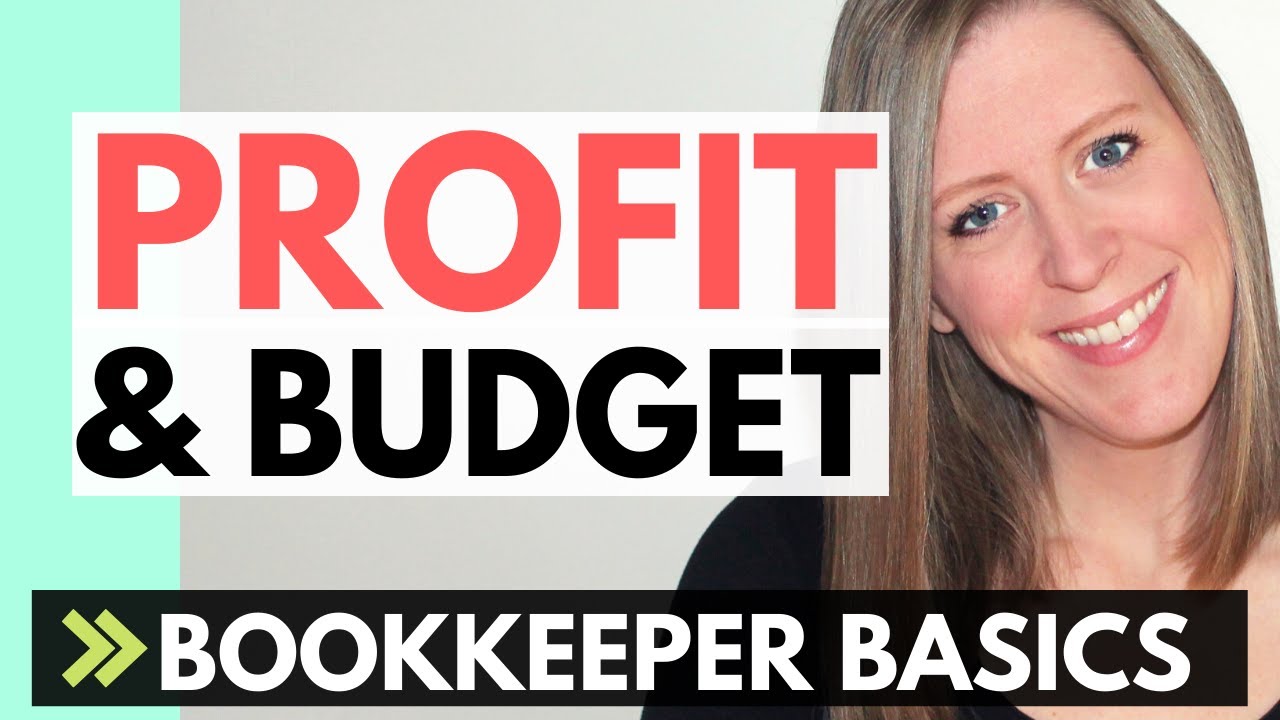PROFIT margin for a bookkeeping business: BUDGET with income & expenses