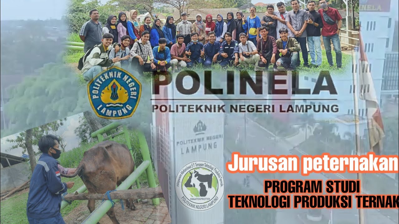 Profil POLINELA KAMPUSKU|| Jurusan peternakan, Program Studi Teknologi produksi Ternak