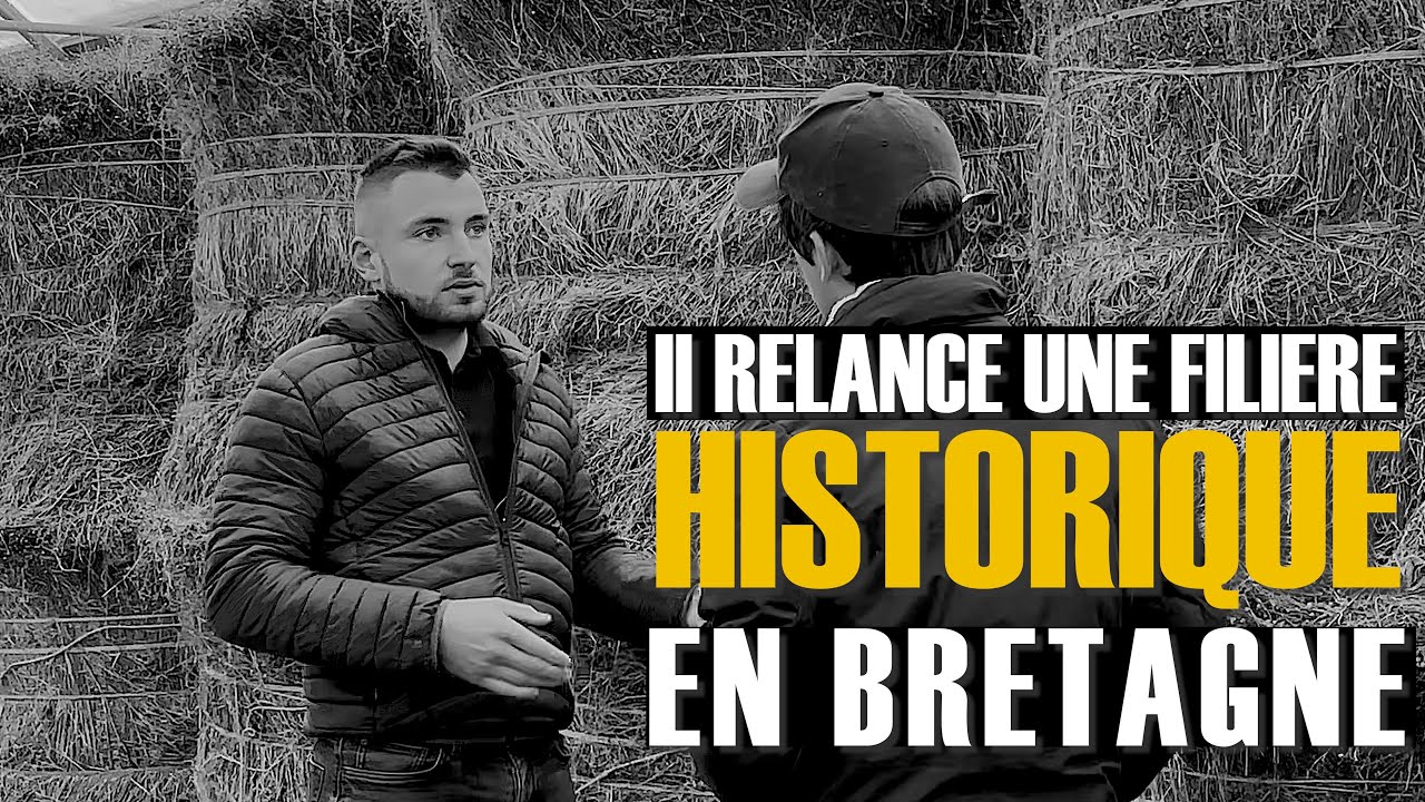 Rencontre avec l'entrepreneur Guillaume Letur qui relance le Lin en Bretagne !
