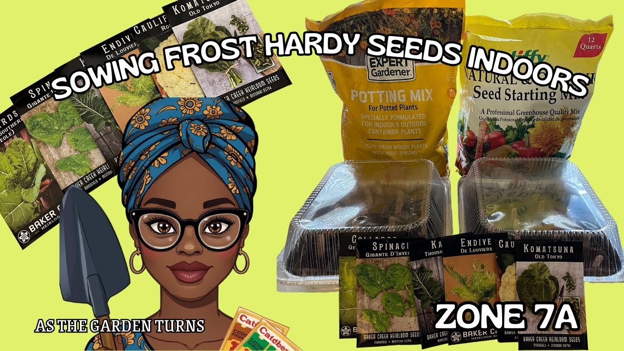 SOWING FROST HARDY SEEDS INDOORS! WHAT IS FROST HARDY! SEEDLING SOIL MIXTURE! 