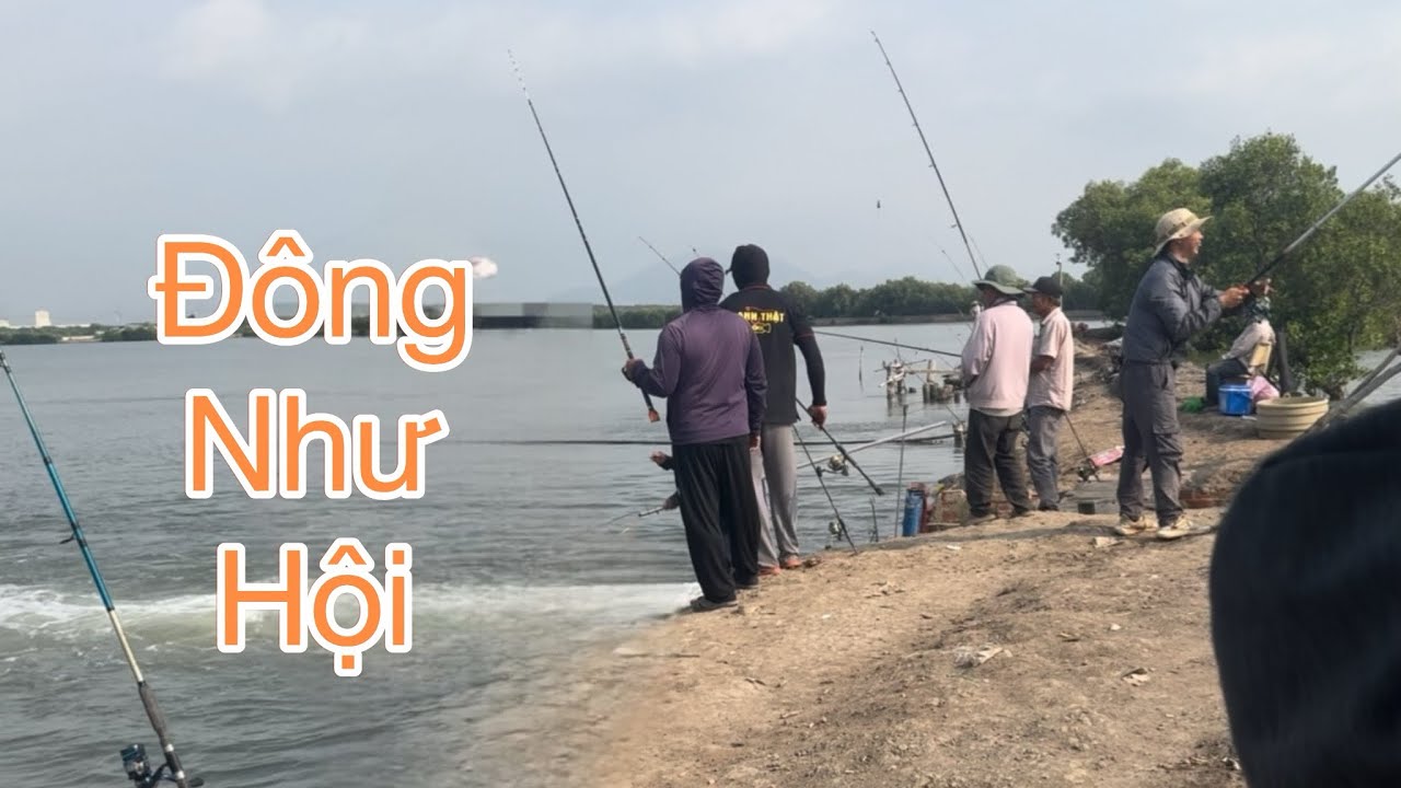 Tập 22 câu cá tráp vào mùa ngai con nước đông như hội cá lên đều rất vui