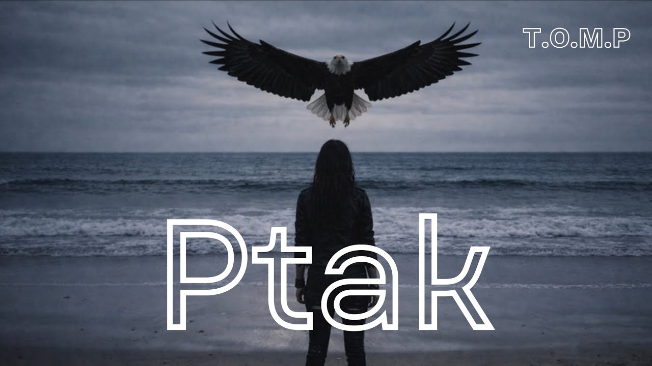 PTAK | T.O.M.P | 2026