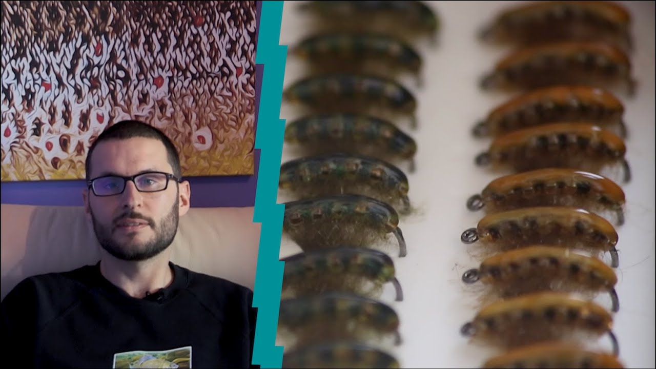 Pourquoi le gammare translucide Nymphévolution est il si efficace ?