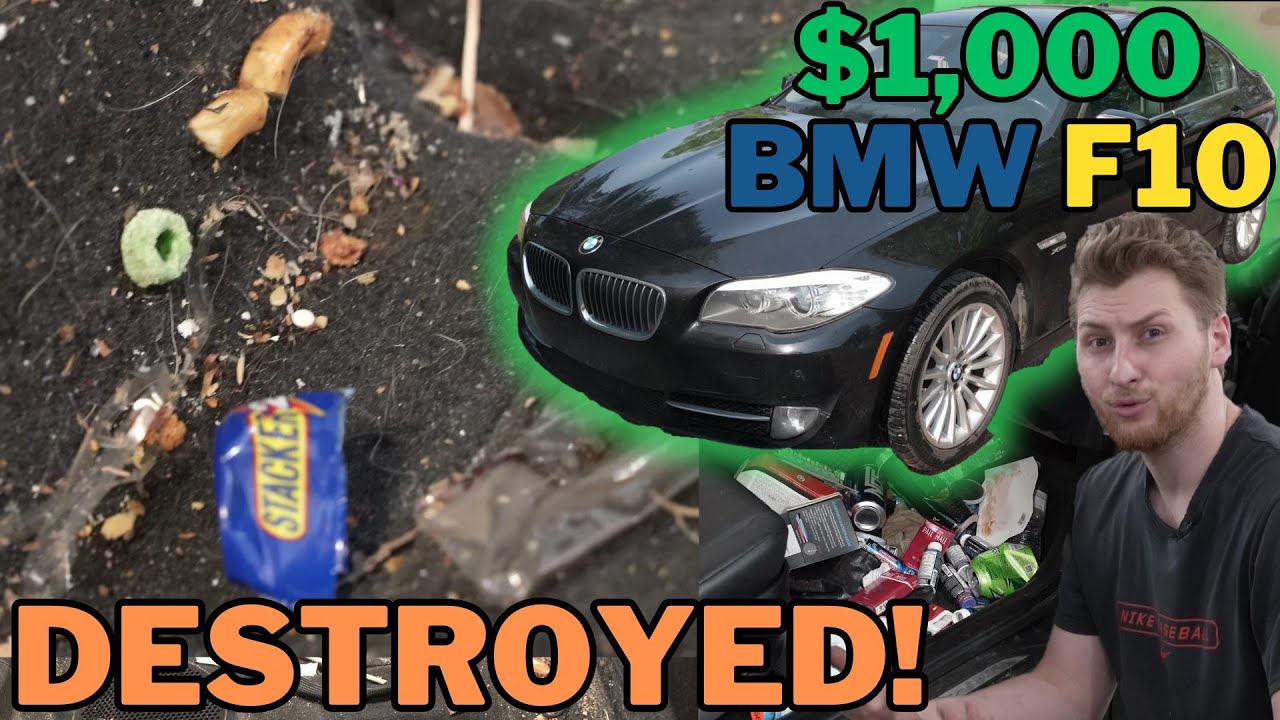 Detailing The Most Abused BMW F10 EVER!