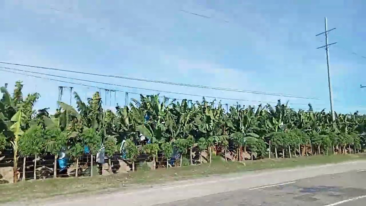 Travel captured No talk Malahay To Tanglaw Davao del Norte #philippines 