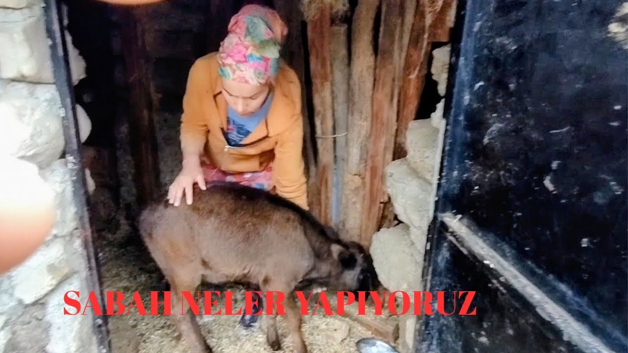 YAĞMURLU BİR GÜN SABAHI NASIL GEÇİYOR 