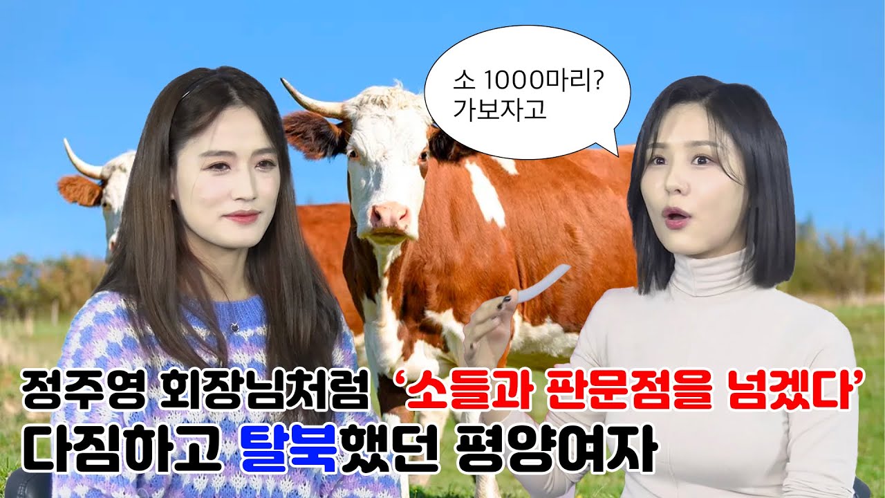 탈북해서 평양여자들이 이런 고민을 할줄은 몰랐어요! 캄보디아북한식당 선후배의 아무말대잔치!