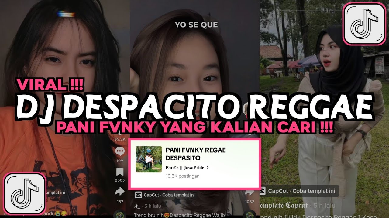 DJ DESPACITO REGGAE PANI FVNKY VIRAL TIKTOK 2024