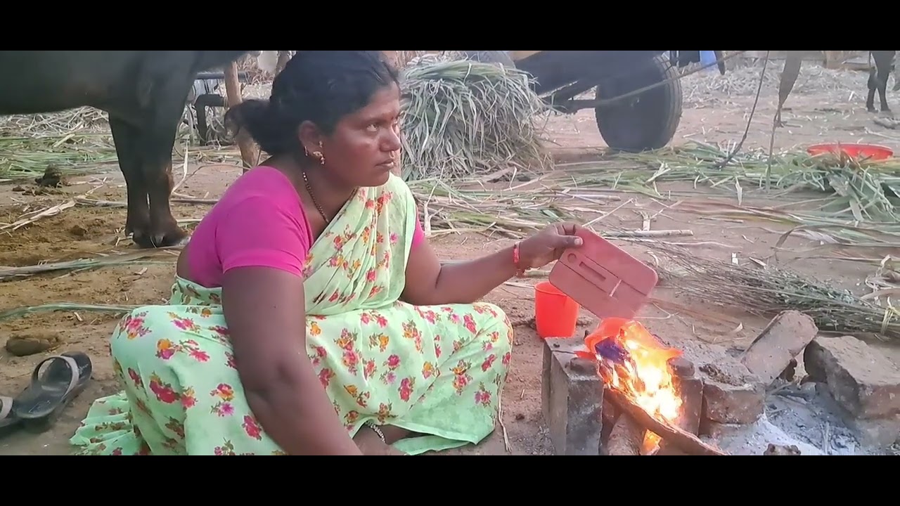 दोन किलो बखर्या ची वोजडी झनझनीत भाजी भाजरी ची भाकर 😋😜😱#vlog #manishahajare