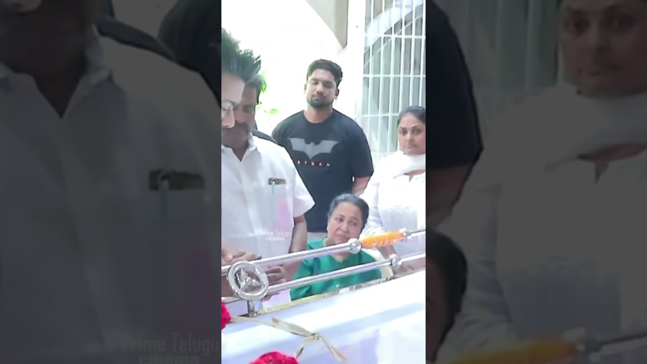 CM Vijay Thalapathy Vijay Honors Legendary Director Bharathiraja || #cm #vijay #tvk #bharathiraja