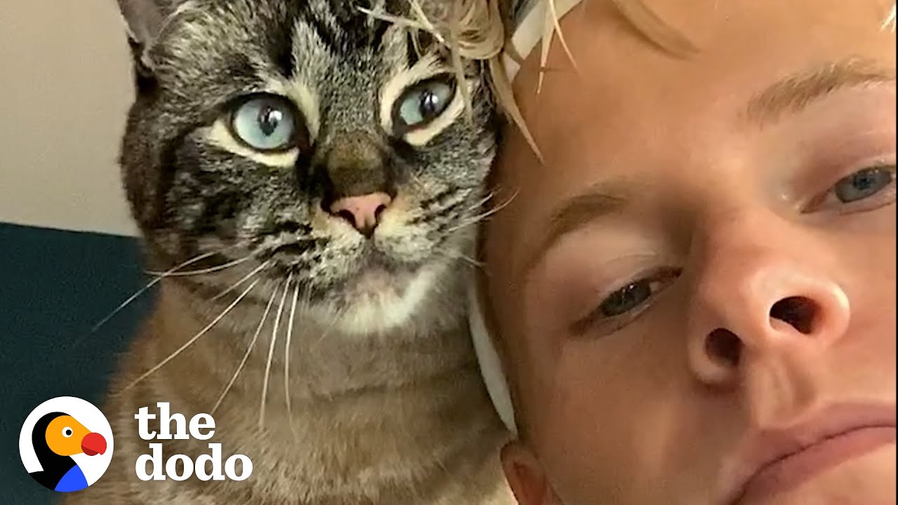 Clingy Cat Has To Be With Dad 24/7 | The Dodo Soulmates