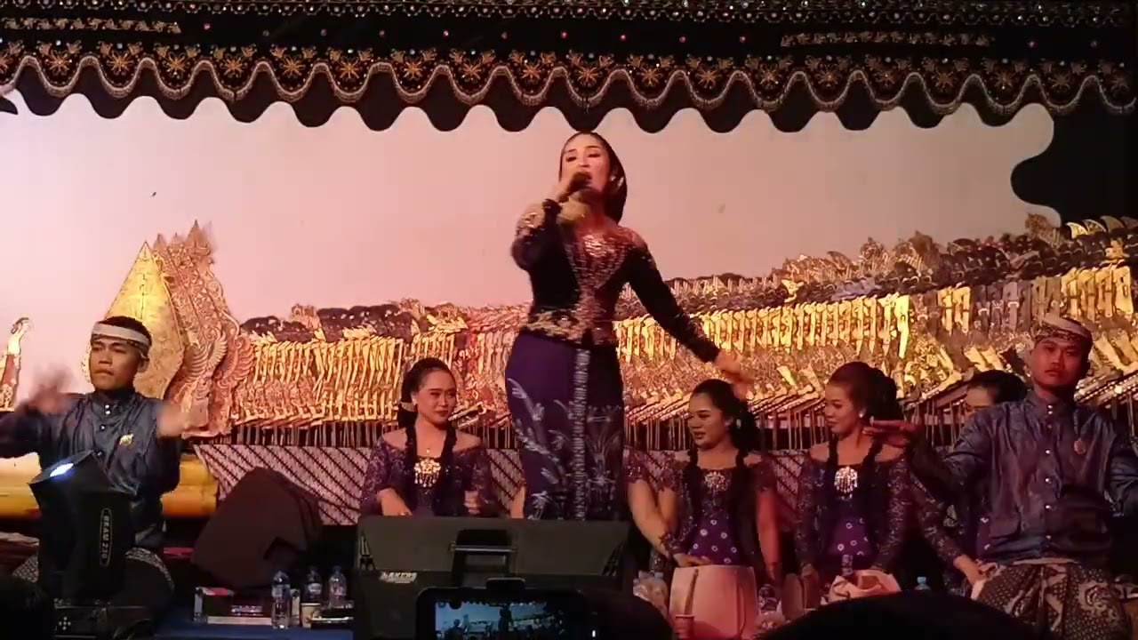 Acara Wayang Kulit di Lapangan Desa Plandirejo