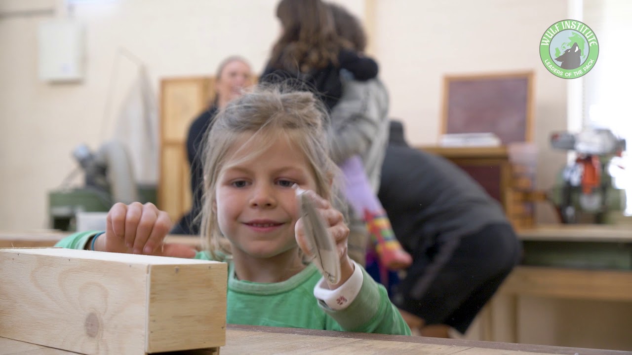 Wulf Institute Opening