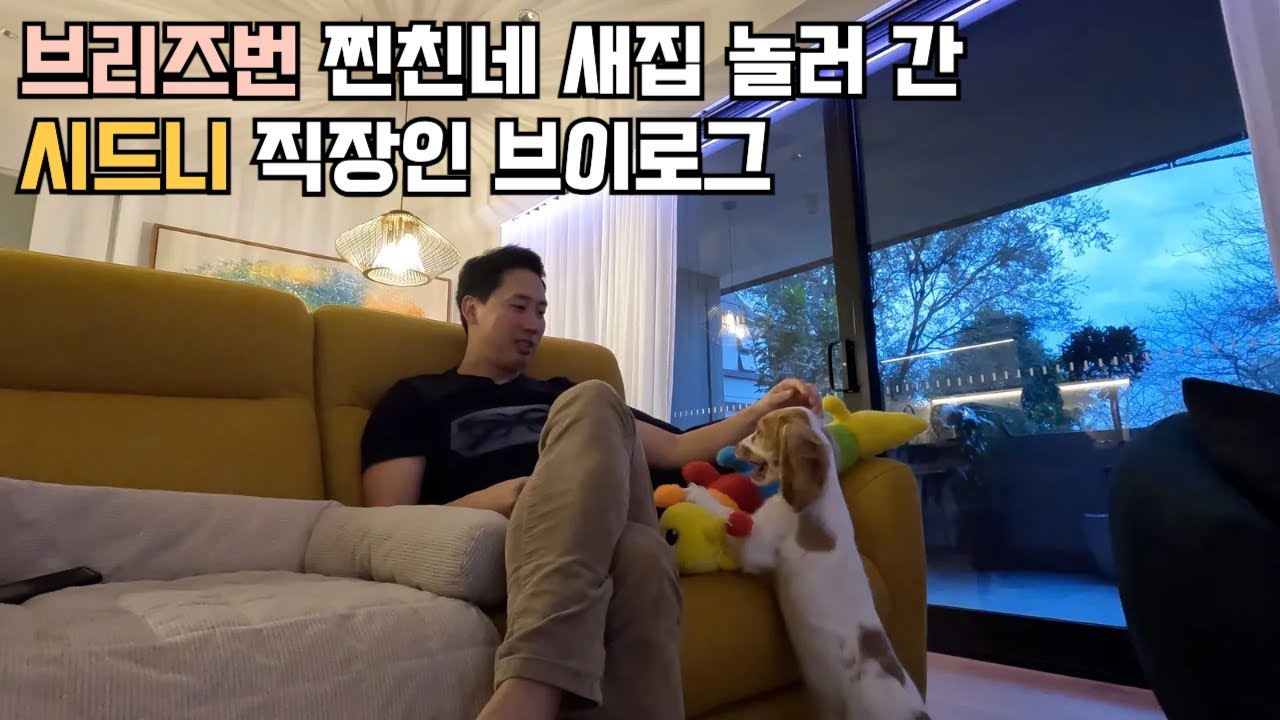 [시드니 직장인 vlog] 브리즈번 친구네 새집에서 보낸 2박 3일 힐링 여행 브이로그