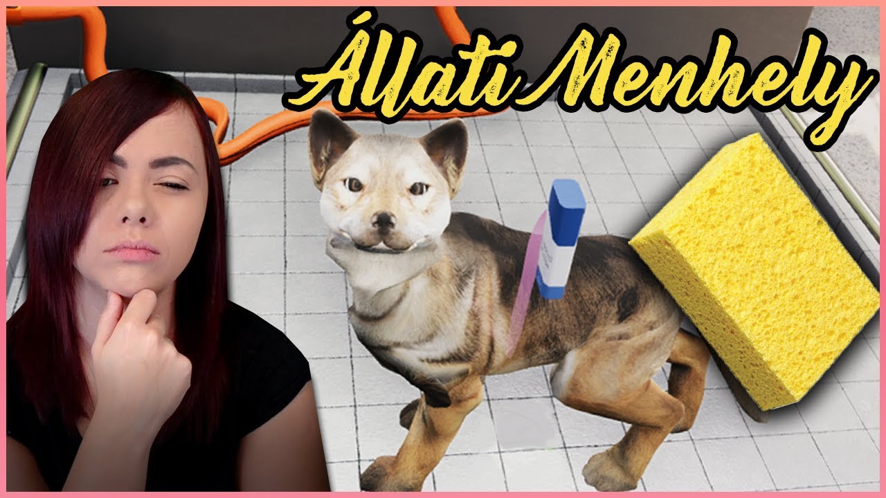 MOSDATÓ + ÚJ KENNELEK! - AZ ÁLLATI MENHELY! 🐕 #2
