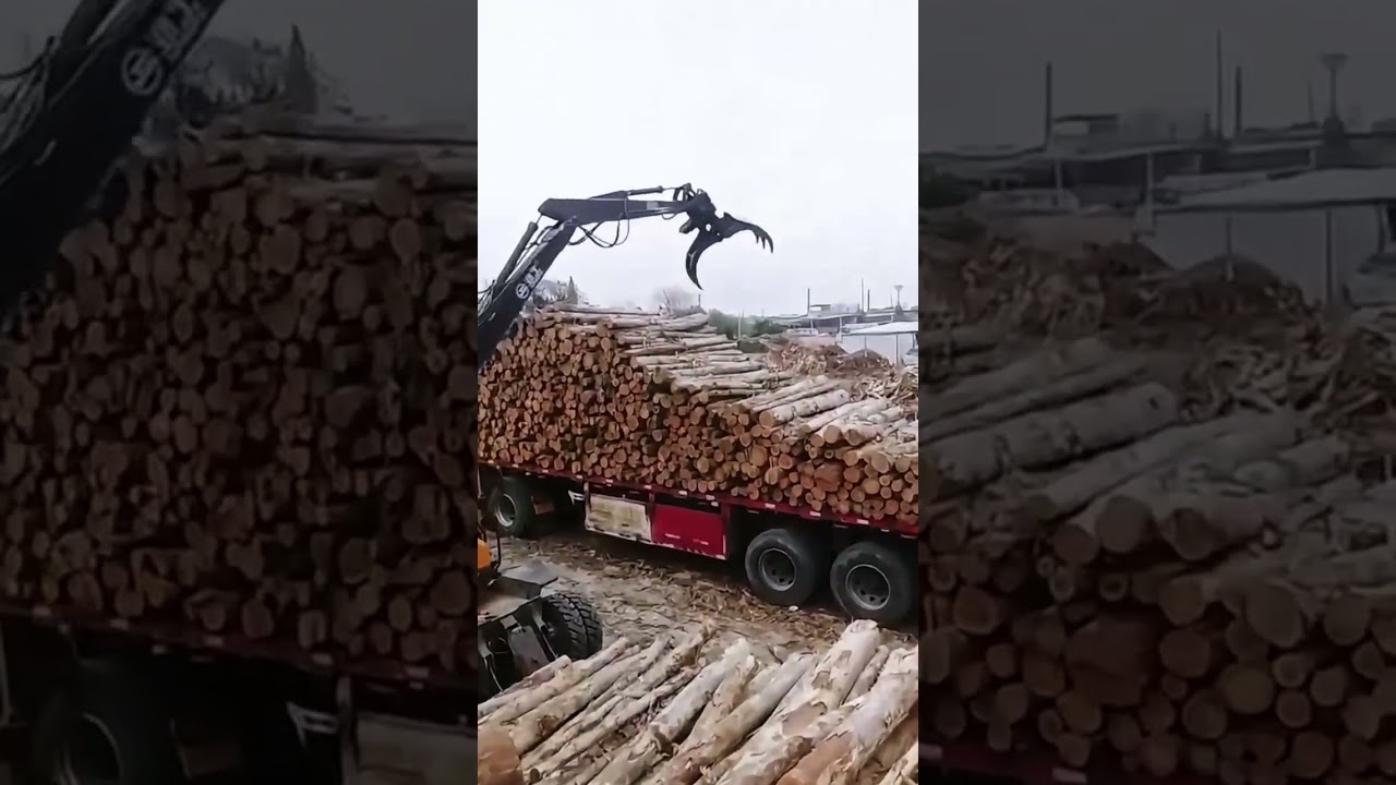 JINGGONG 95Z Timber Grab｜On-site Wood Handling, Efficient & Stable Grip