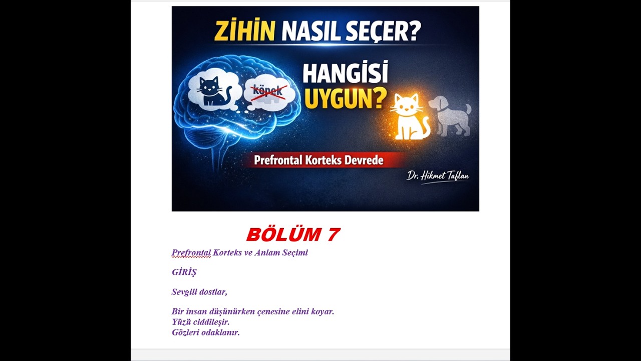 DİL BİLİMİ  7 (Prefrontal Korteks ve Anlam Seçimi)