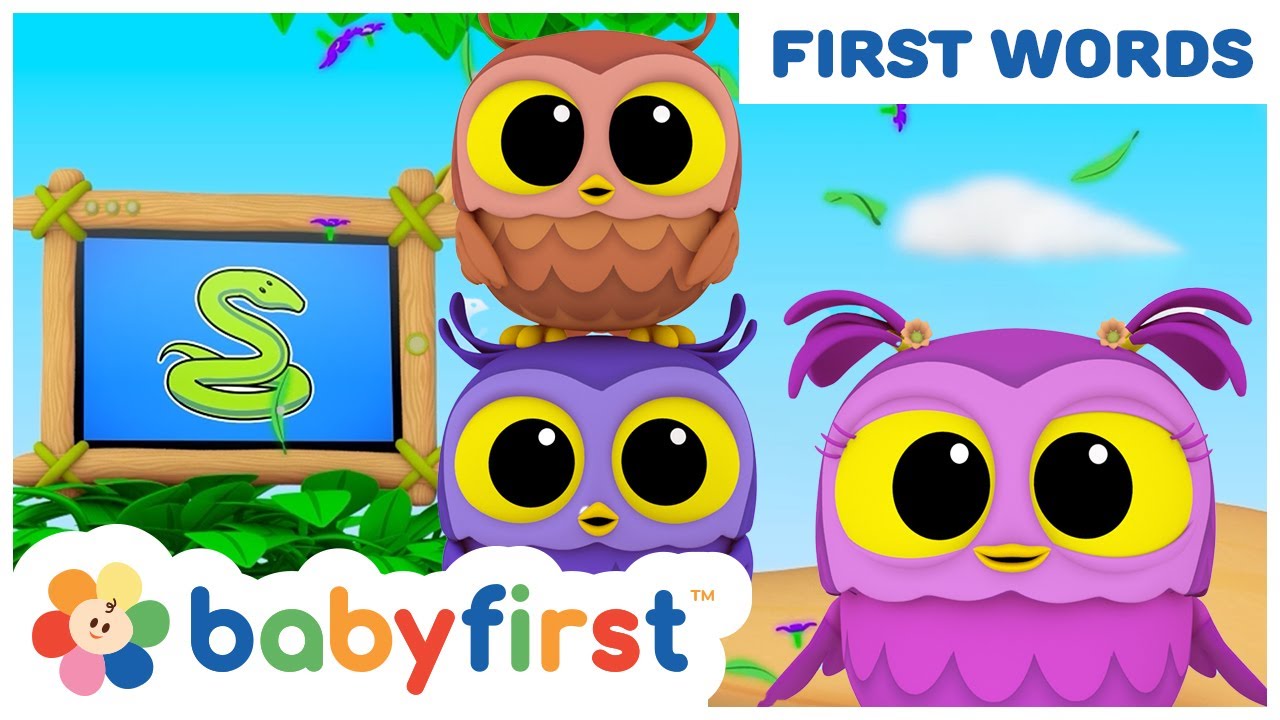New Show - Hoot, Scoot & What | Learn Vocabulary for Kids | Animals for Children | BabyFirst TV