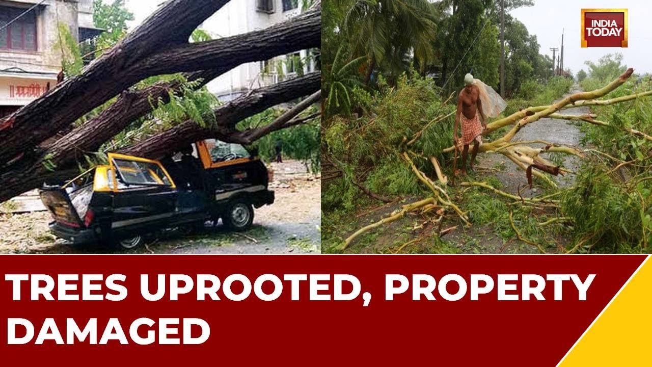 Biparjoy Cyclone: Cyclone Brings Heavy Rains In Bhannagar, Trees Uprooted, Property Damaged