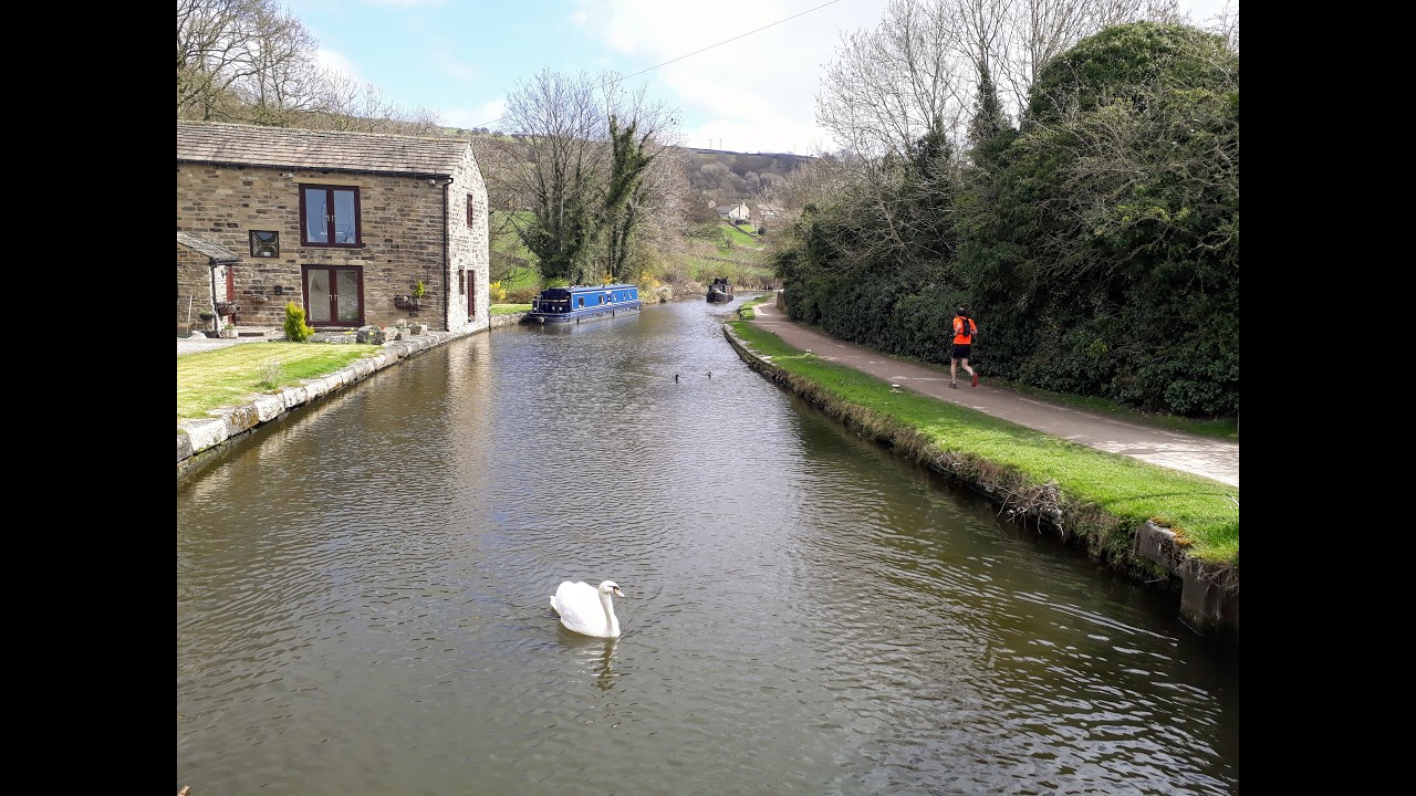 WW11 50 Bingley Loop