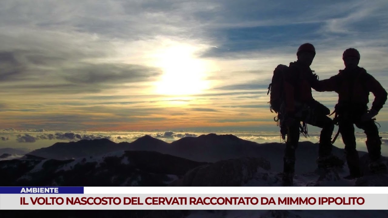 AMBIENTE. IL VOLTO NASCOSTO DEL CERVATI RACCONTATO DA MIMMO IPPOLITO