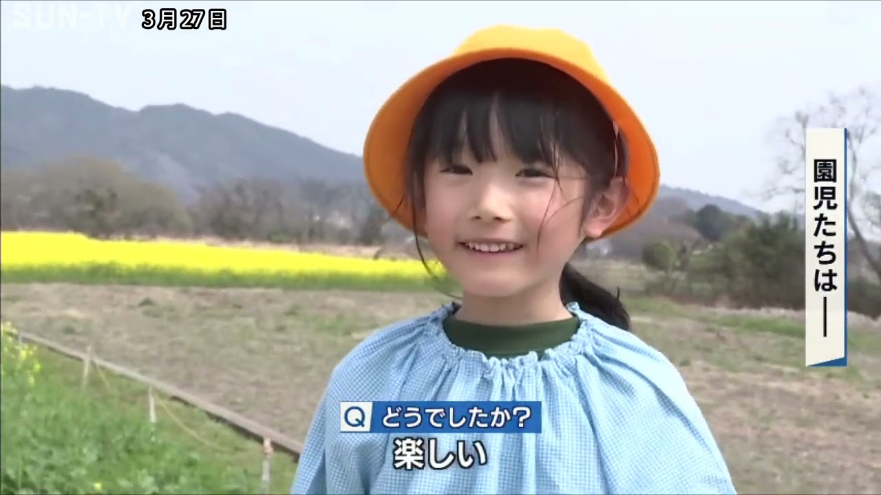洲本市 菜の花20万本の巨大迷路にぎわう