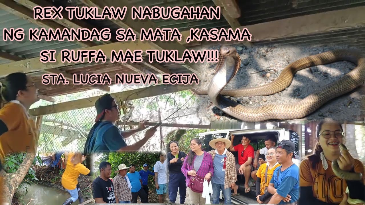 REX TUKLAW NABUGAHAN NG KAMANDAG SA MATA KASAMA SI RUFFA MAE TUKLAW|STA.LUCIA NUEVA ECIJA
