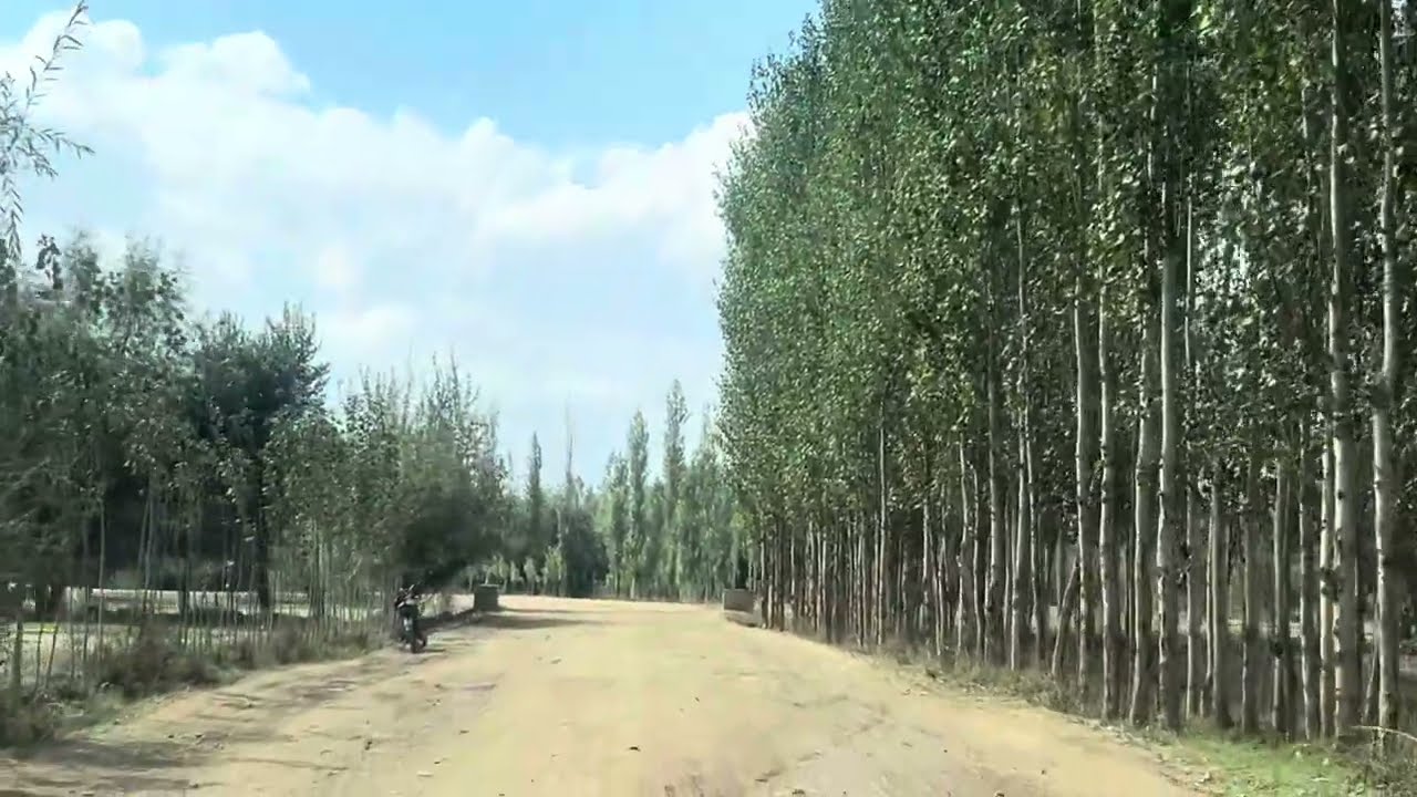 Baraki Barak Logar Afg