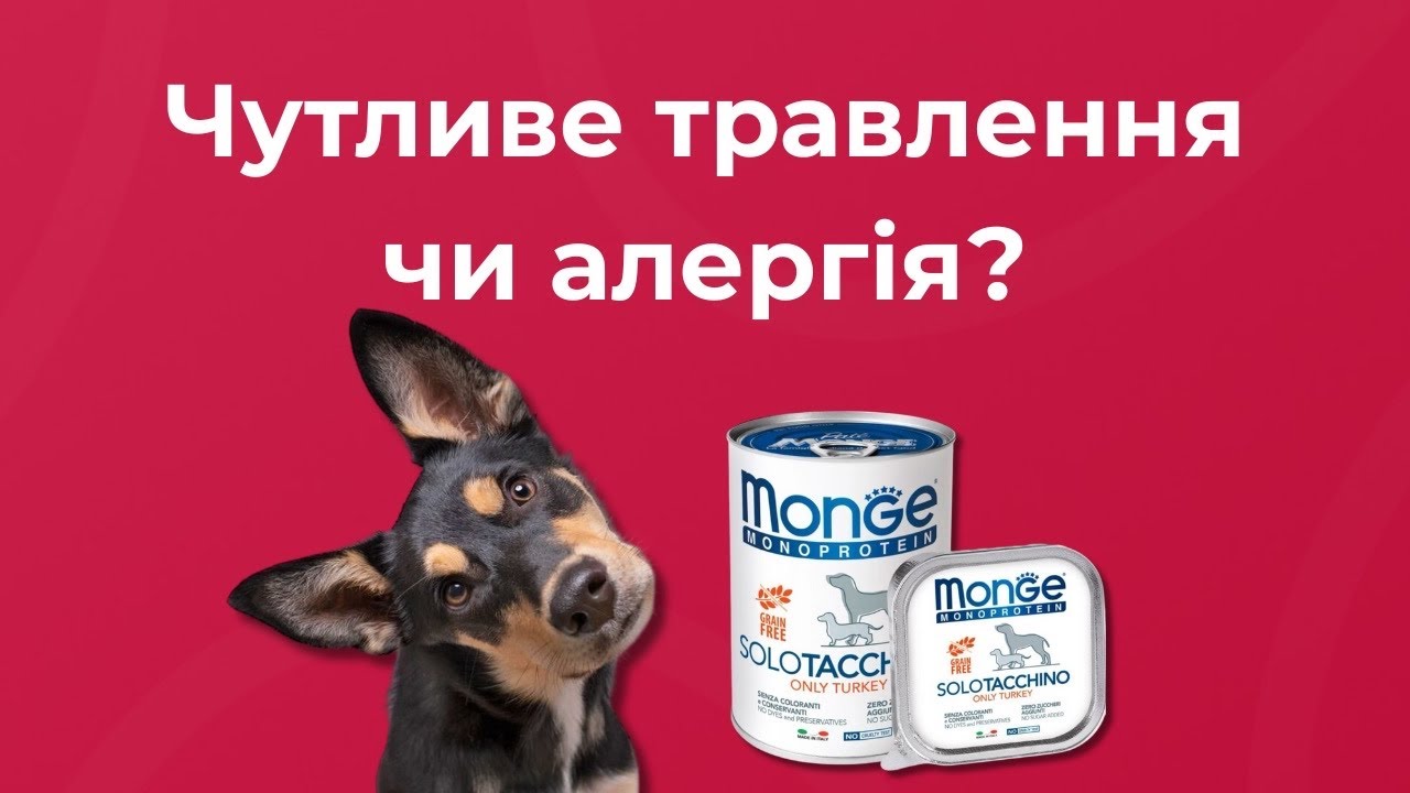 Алергія на корм? Рішення для чутливого травлення — Monge Monoprotein