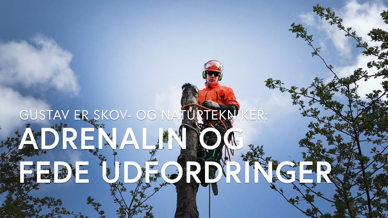 Mød Gustav - han uddanner sig til skov- og naturtekniker