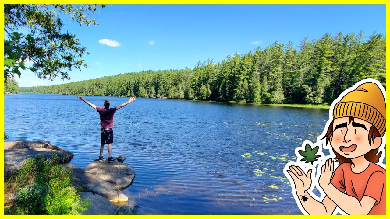 Off-Grid Getaway: A Secluded Cabin in the Woods | Smoking Beaver Vlogs