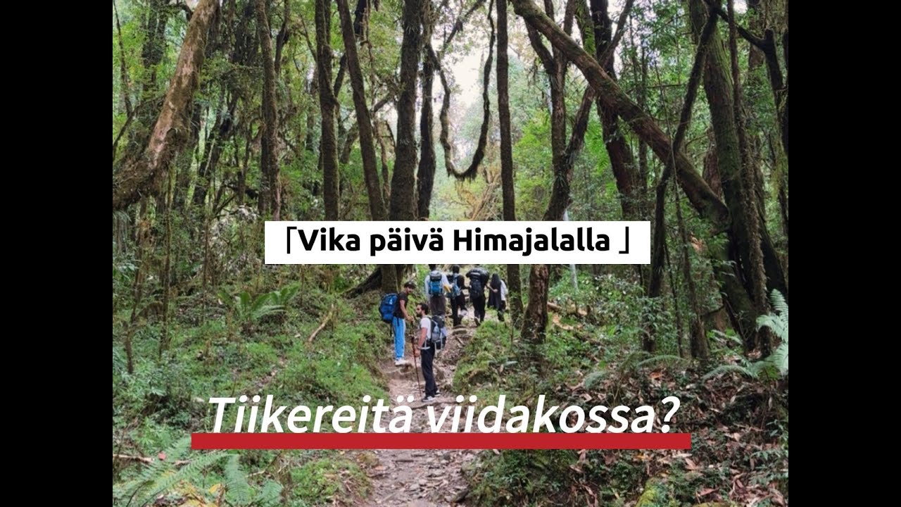 Yhdessä päivässä vuorilta alas? I Viimeinen päivä vaellusta