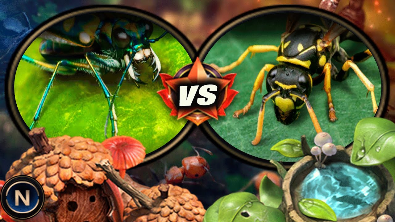 🆚 | 🪲Cicindela Aurulenta VS 🐝Avispón | The Ants: Underground Kingdom🐜