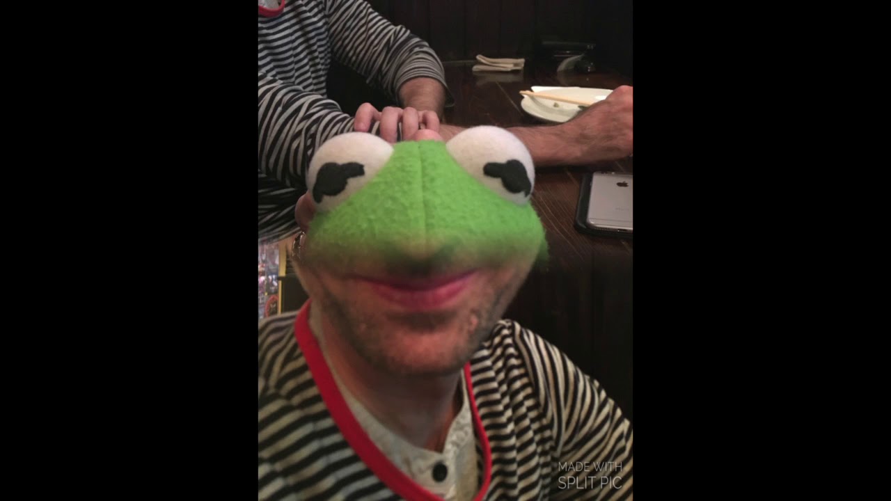 FROGS-R-NICE
