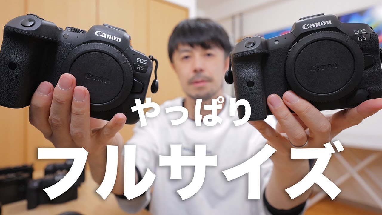 APS-Cのカメラよりフルサイズのカメラをオススメする理由