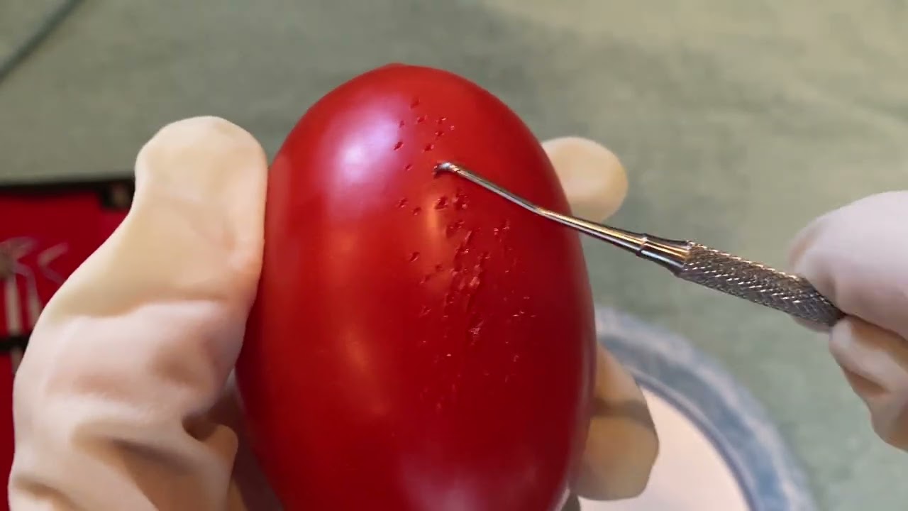 Dental tolls + tomato asmr 