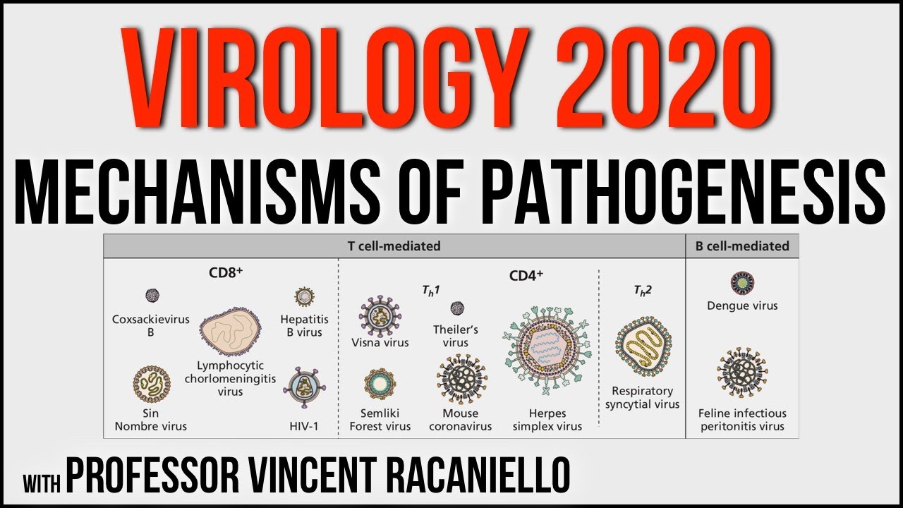 Virology Lectures 2020 #15: Mechanisms of Pathogenesis