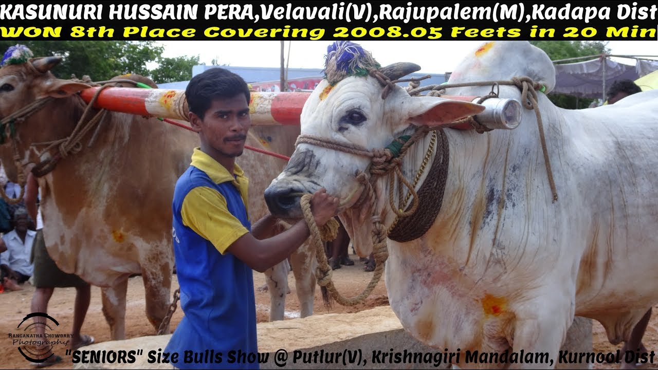 2018 PUTLURU 