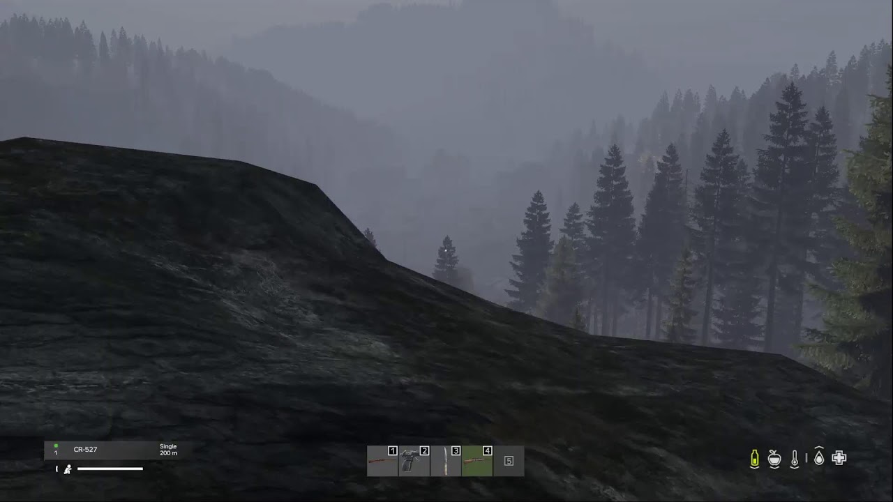 LIVE - DAYZ HOW LONG WE CAN SURVIVE ON OFFICIAL