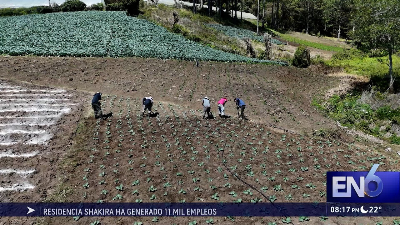 PÉRDIDAS EN COSECHAS POR FRÍO
