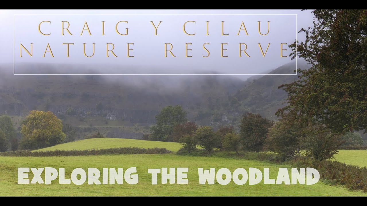 Craig y Cilau  - Walk in the rain