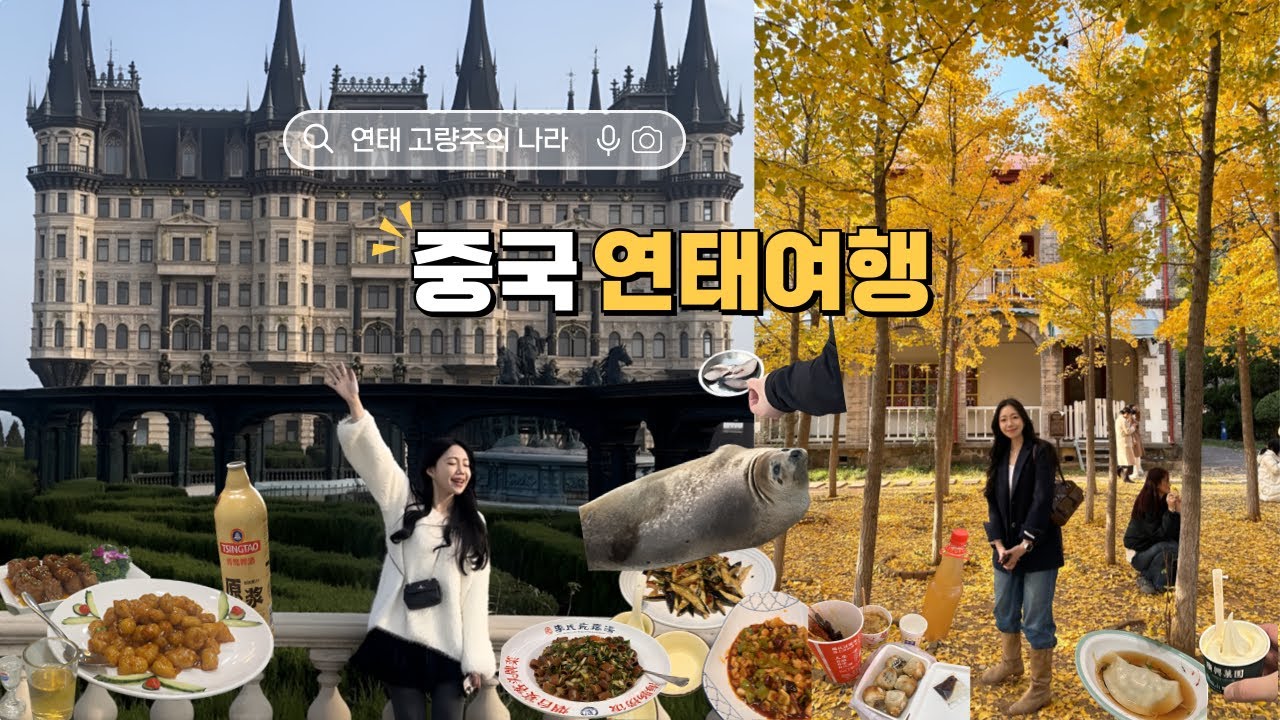 중국 연태 여행 🇨🇳 | 풀만호텔, 문성성보, 소청리, 조양가, 와인박물관, 물범보호구역, 어인부두, 하이디라오