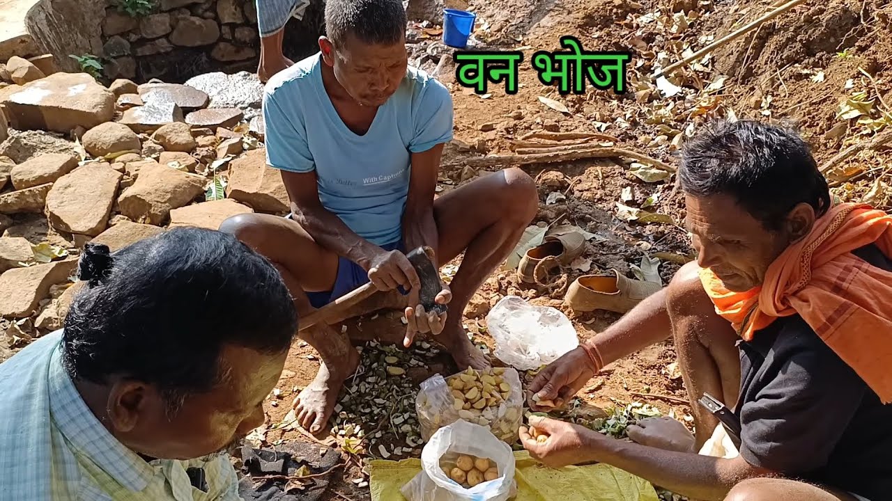 गांव के लोगों का पिकनिक सह वन भोज।। जंगल में पहाड़ों के बीच प्रकृति का अद्भुत दृश्य।।