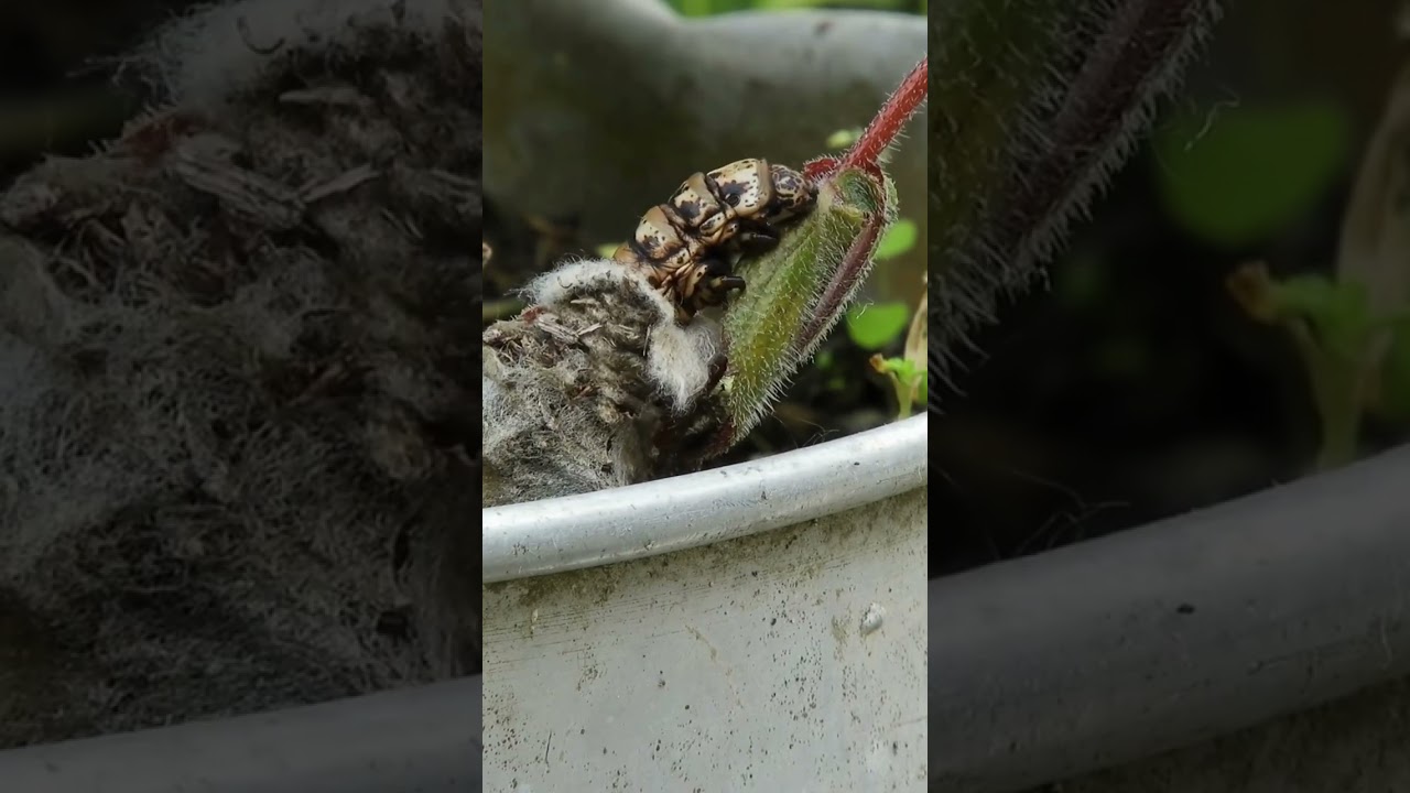 DESTINEZ-VOUS À LA TERRE ? 🌱 DÉCOUVREZ L'AGRONOMIE 